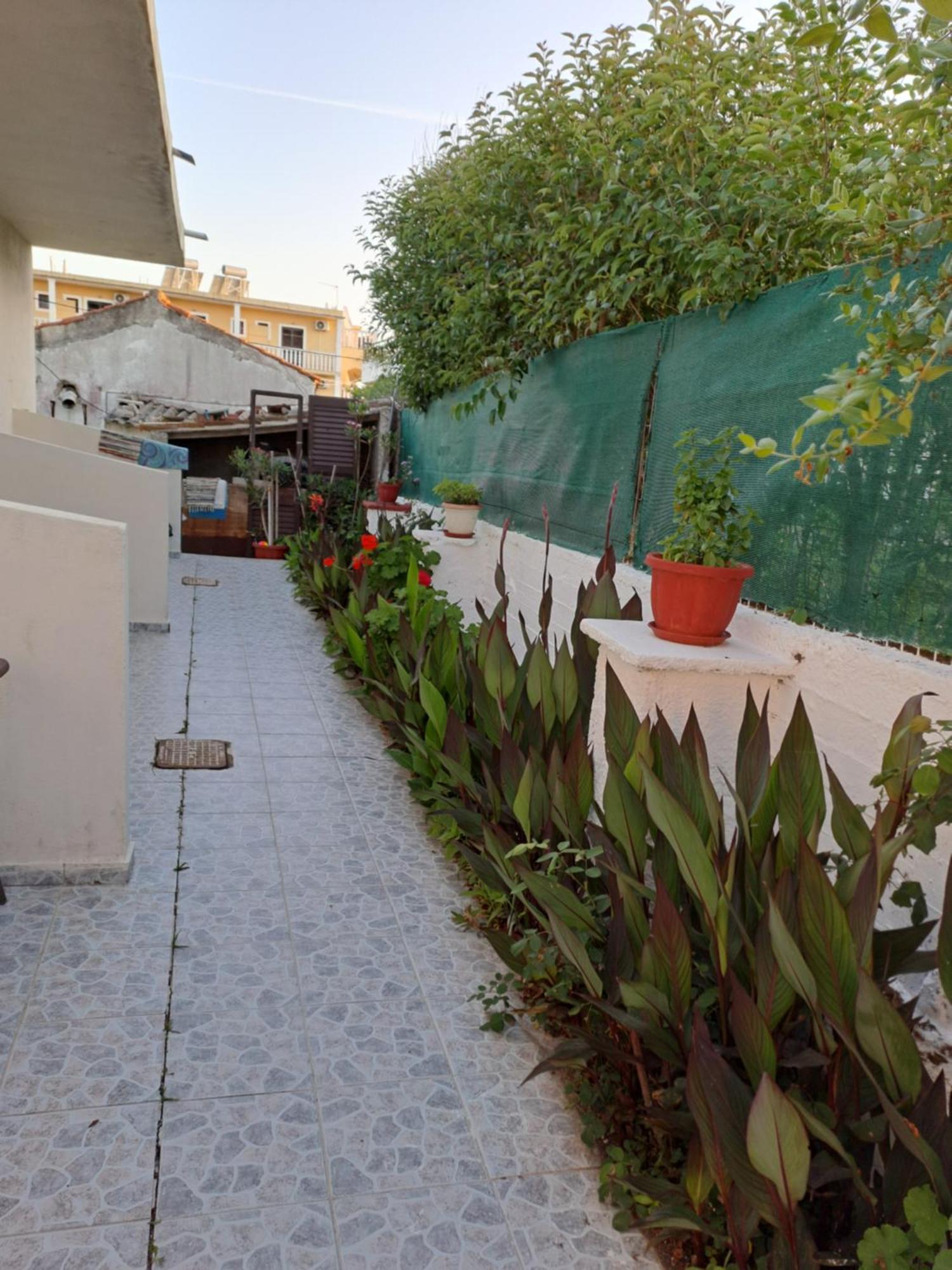Tony'S Apartments Agios Georgios  Exterior photo
